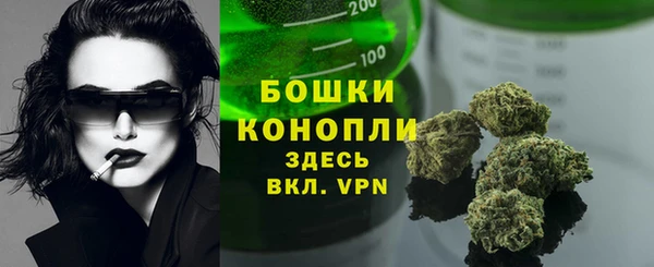 гидра Осинники