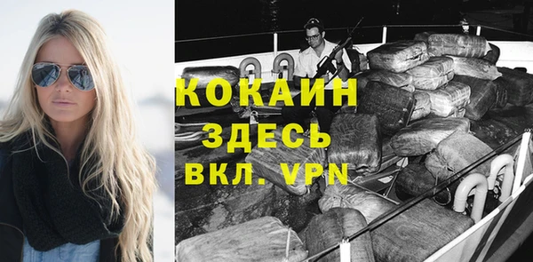 гидра Осинники