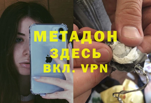 индика Апатиты