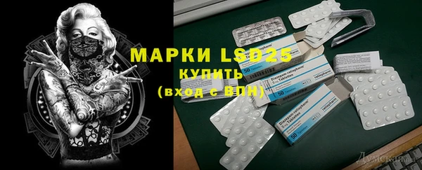 гидра Осинники