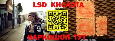 Альфа ПВП Гатчина