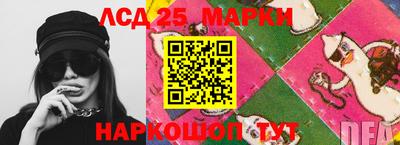 Альфа ПВП Гатчина