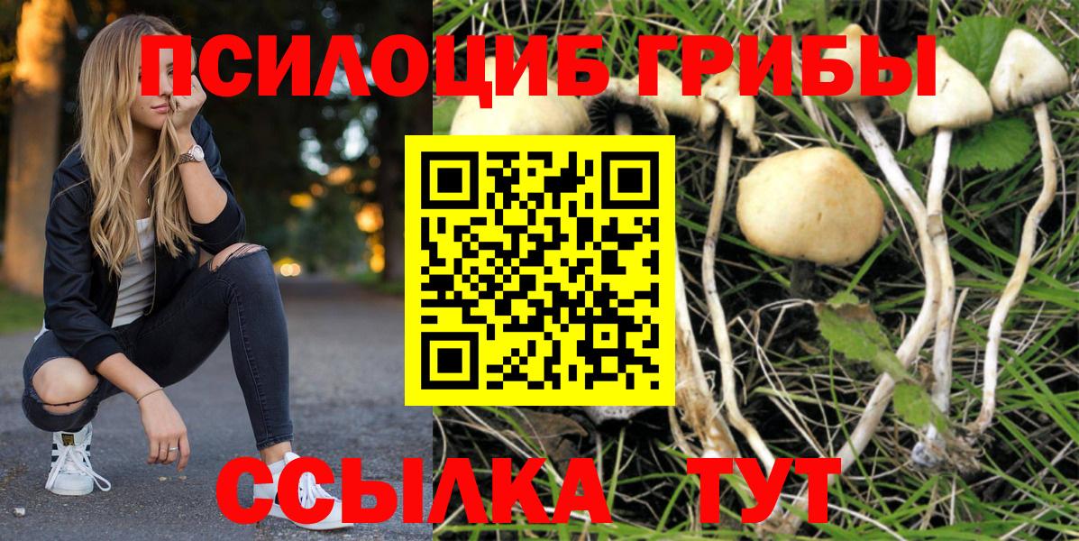 Галлюциногенные грибы мухоморы  Вход с VPN  Советский 