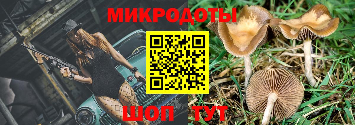 Псилоцибиновые грибы Cubensis Советский